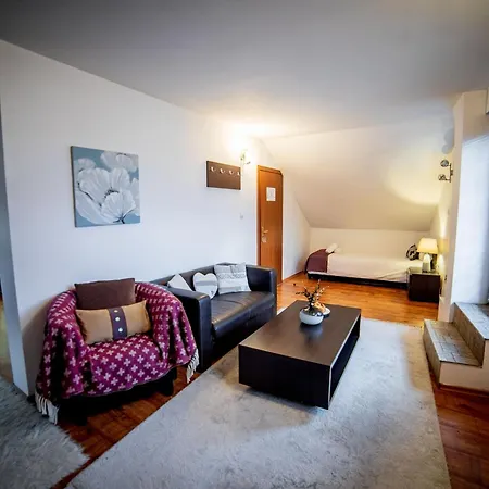 Velinov Boutique With Free Shuttle Bansko